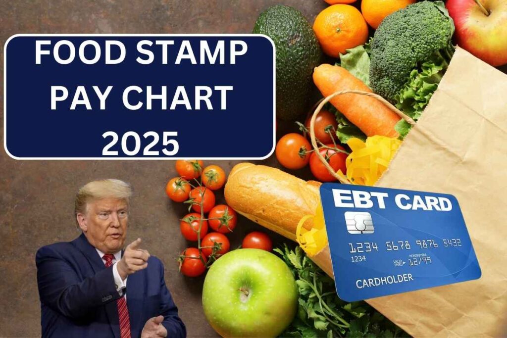 Food Stamp Pay Chart 2025 - Check SNAP Payment Dates