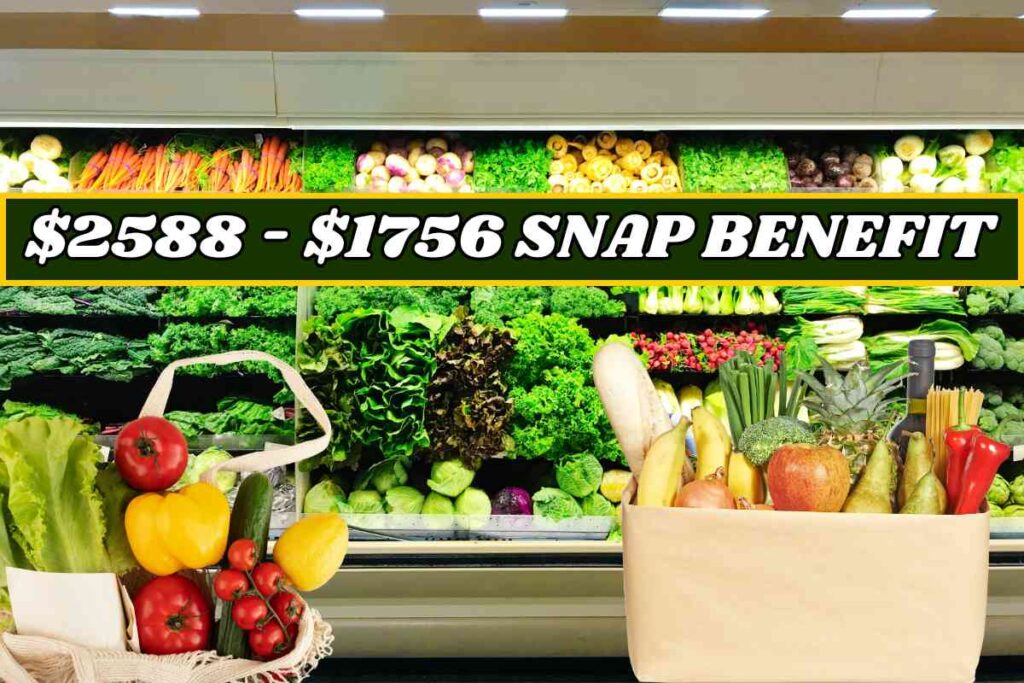 $2588 - $1756 SNAP Food Stamp Benefit On Jan 28