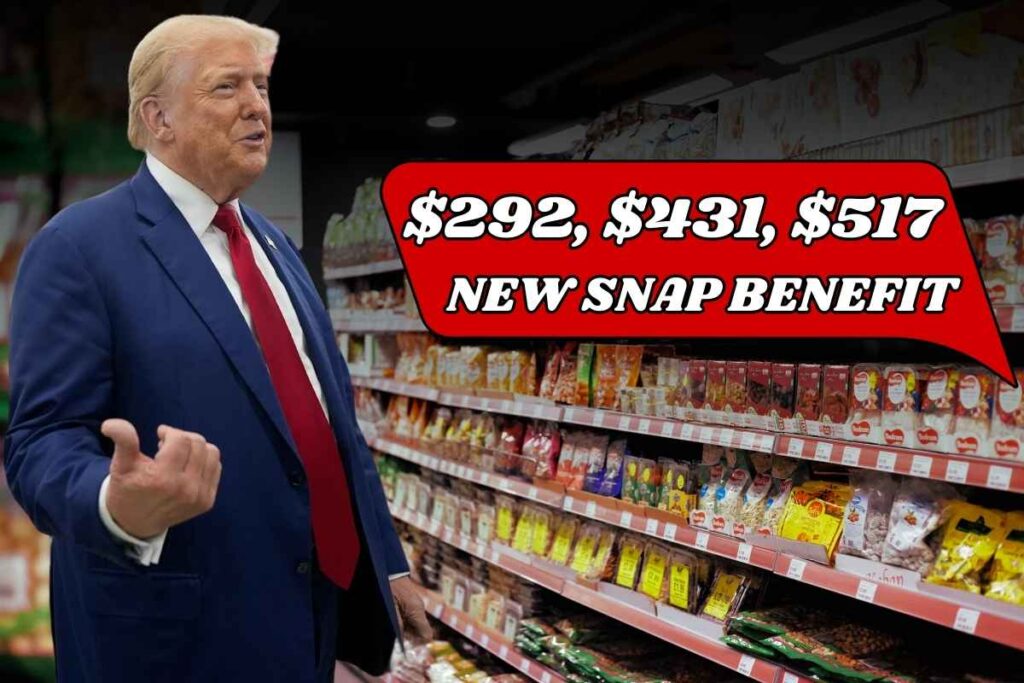 $292, $431, $517 New SNAP Benefit January 2025