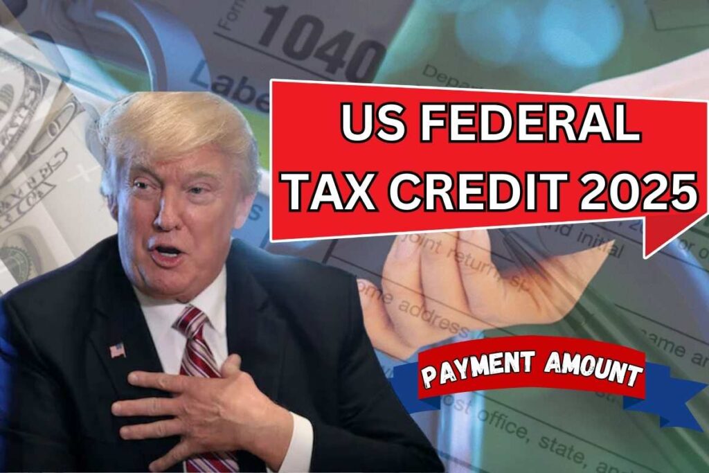 US Federal Tax Credit 2025